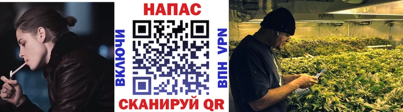 Купить где  Севастополь  Конопля ГИДРОПОН 